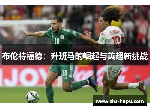 布伦特福德：升班马的崛起与英超新挑战